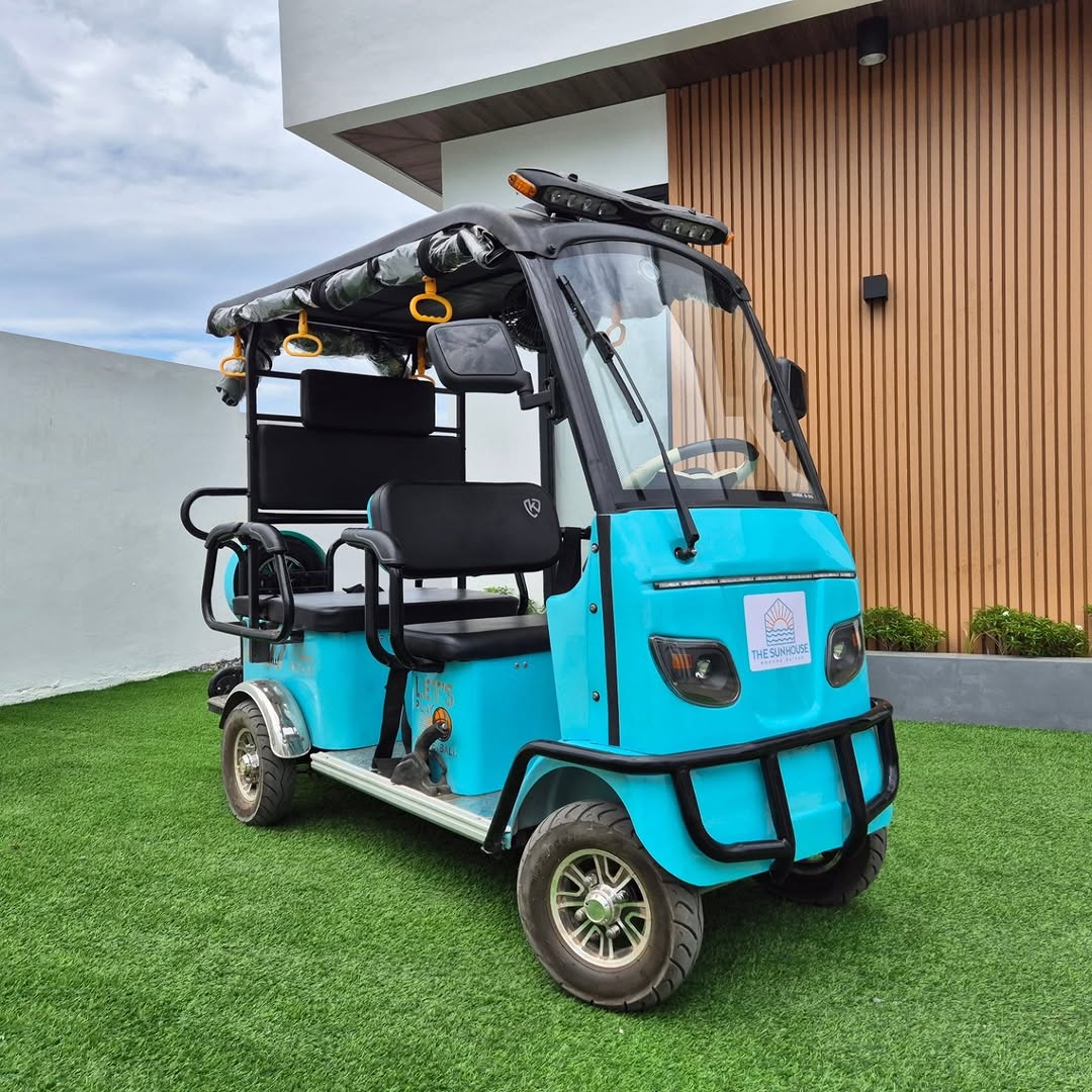Electric cart for beach access